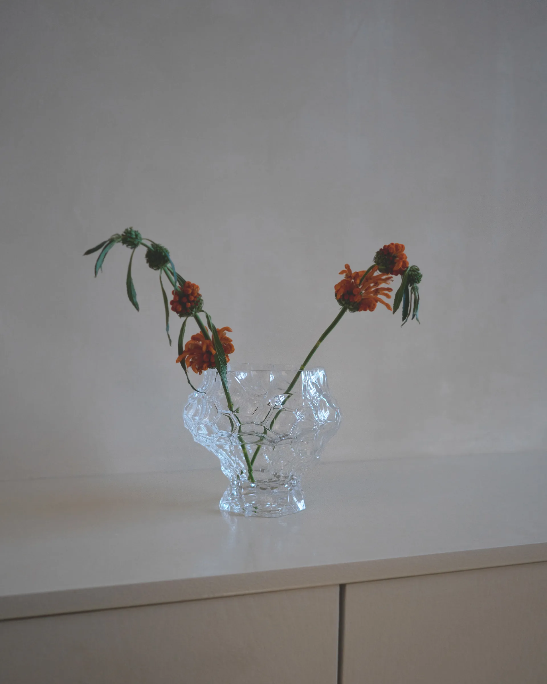 캐년 미듐 화병 18 cm, Clear Hein Studio | 헤인 스튜디오