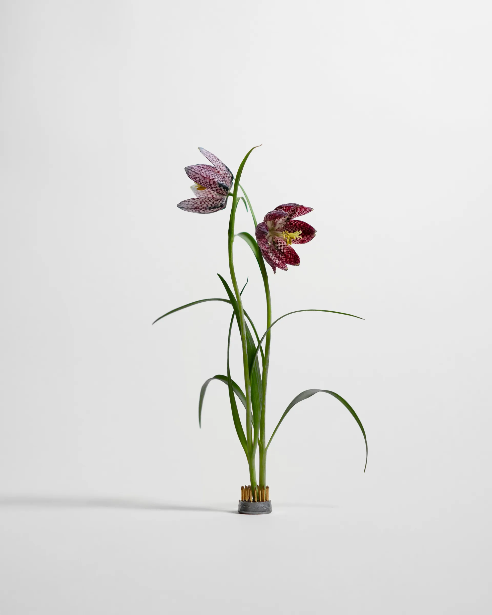 켄잔 화병, Ø2.3 cm Hein Studio | 헤인 스튜디오