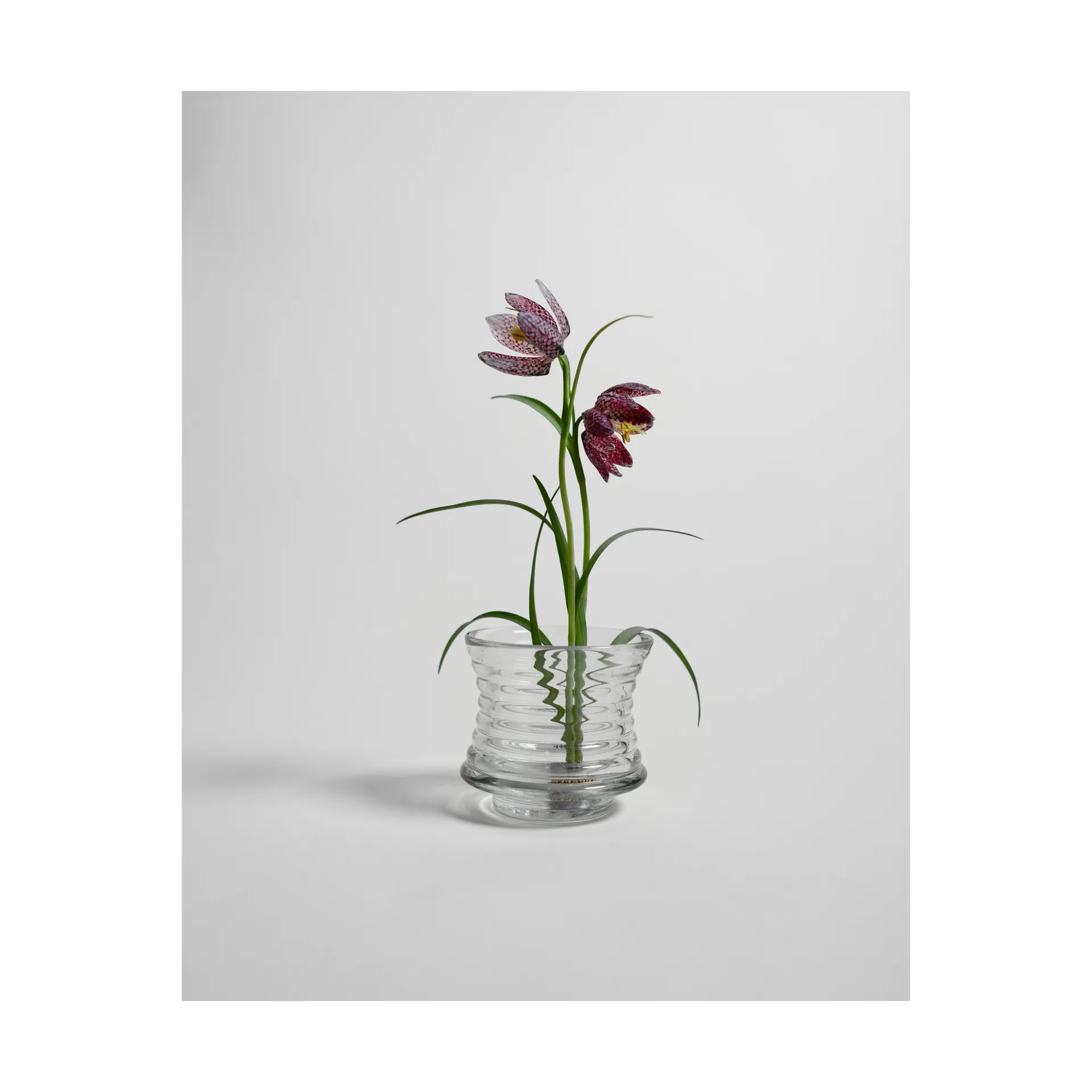 켄잔 화병, Ø6 cm Hein Studio | 헤인 스튜디오