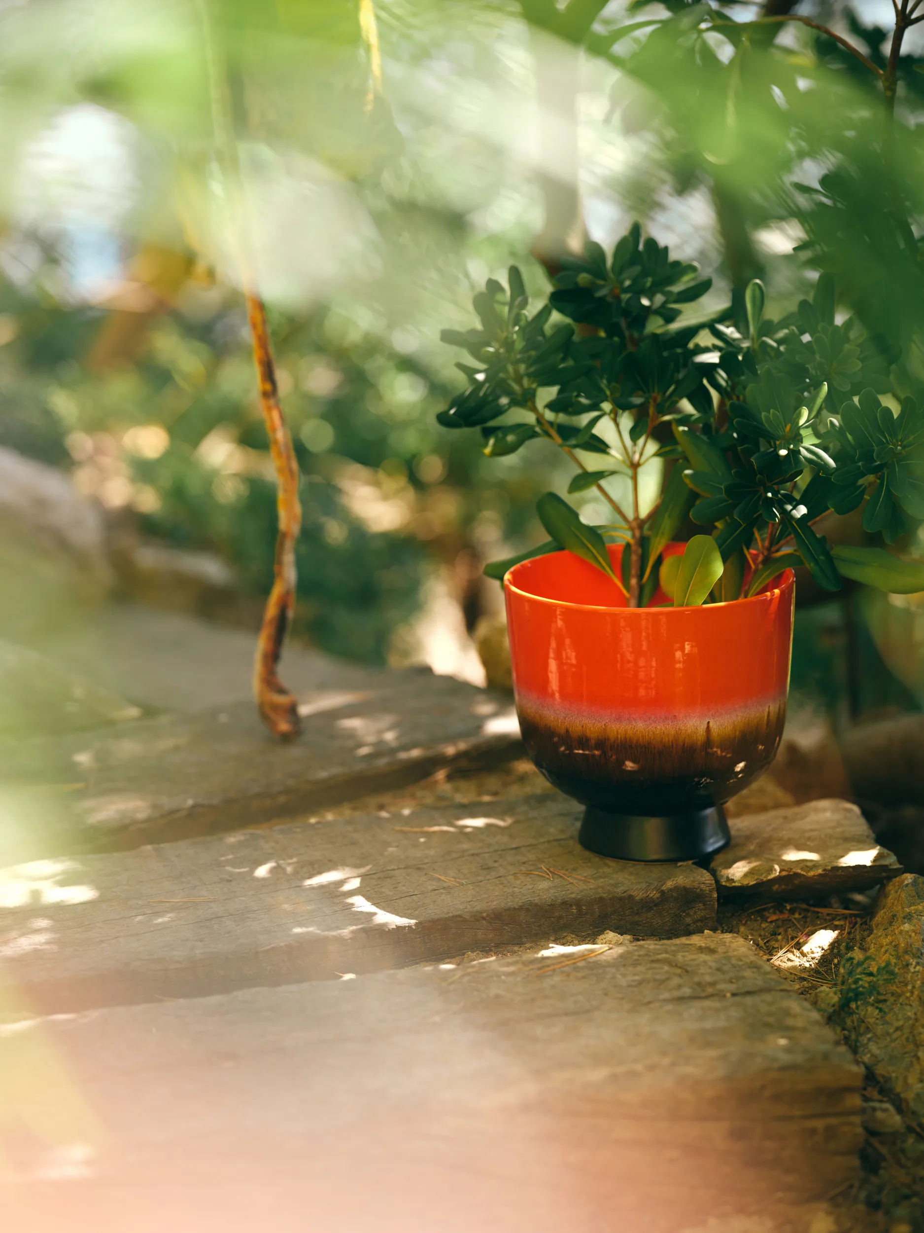 레트로 화분 Ø20.5 cm, Cherry red HKliving | 에이치케이리빙