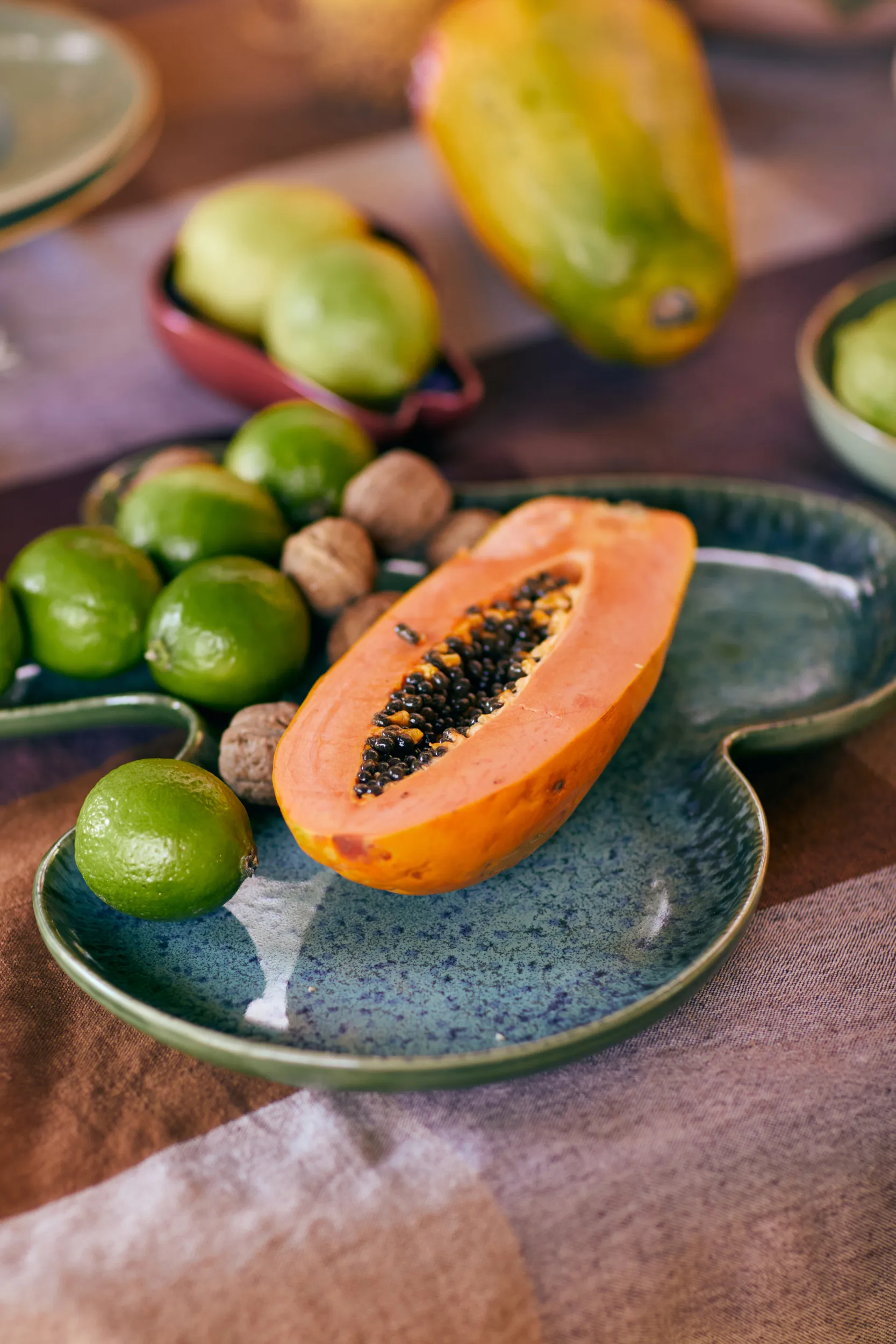 쉘 서빙 디쉬, Teal HKliving | 에이치케이리빙