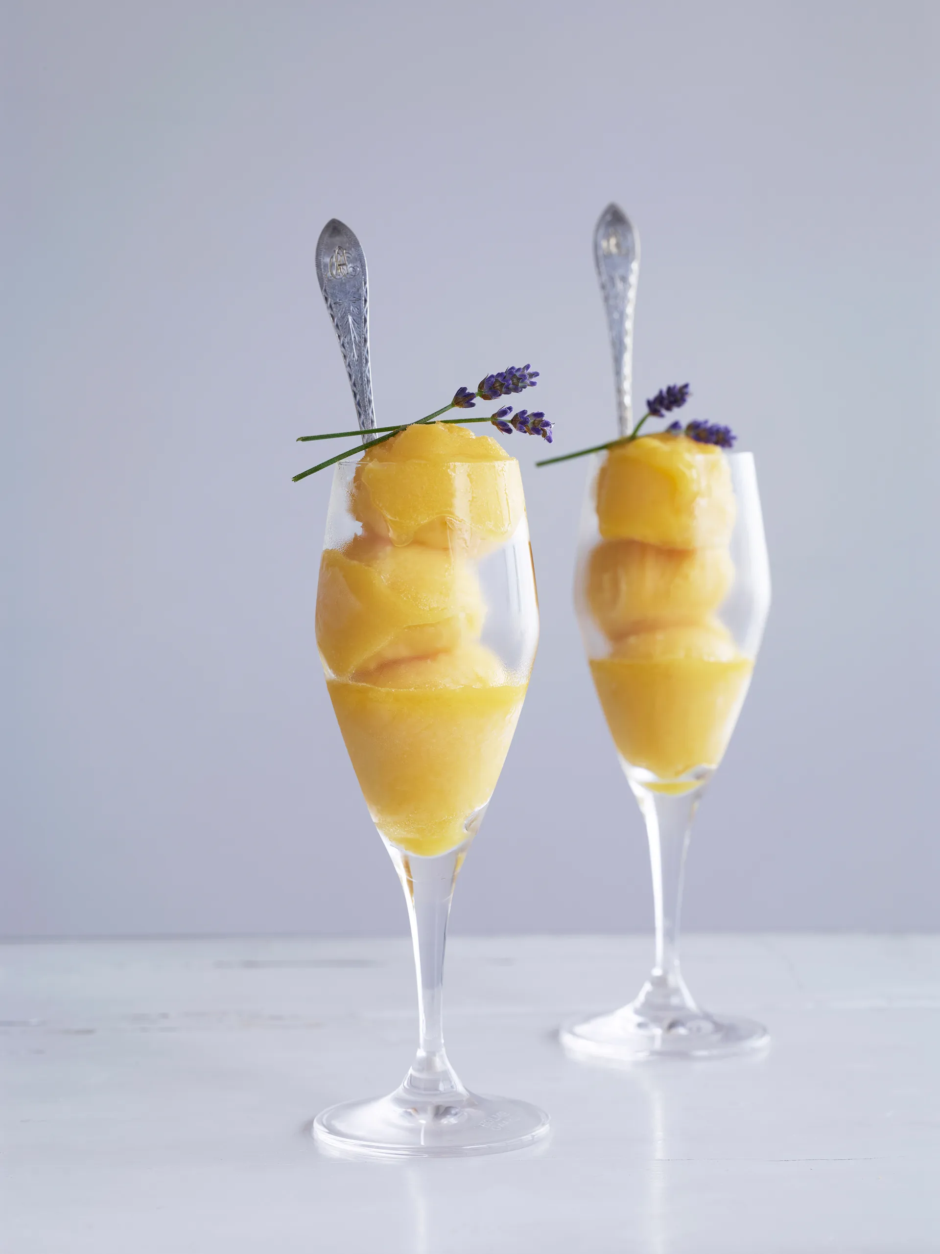 퍼펙션 샴페인잔 23 cl 6개 세트, Clear Holmegaard | 홀메가르드