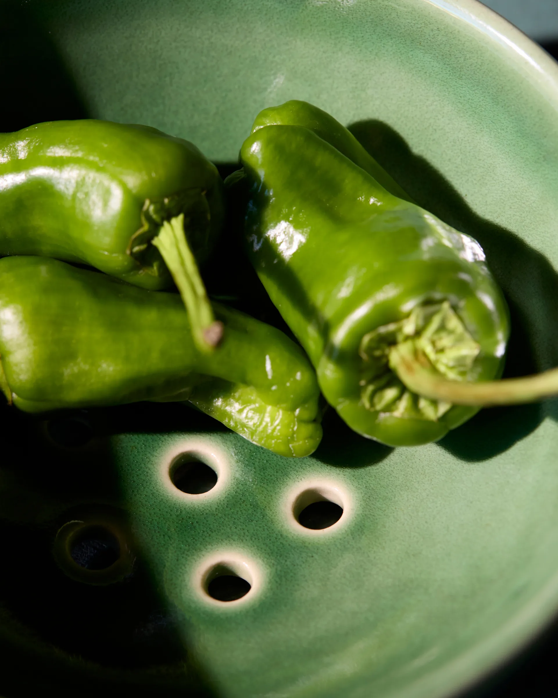 디바 보울 Ø12x4.5 cm, Green House Doctor | 하우스닥터