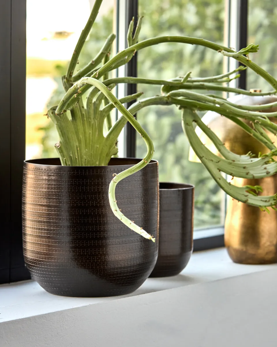 아이린 팟 2개 세트, Antique brown House Doctor | 하우스닥터