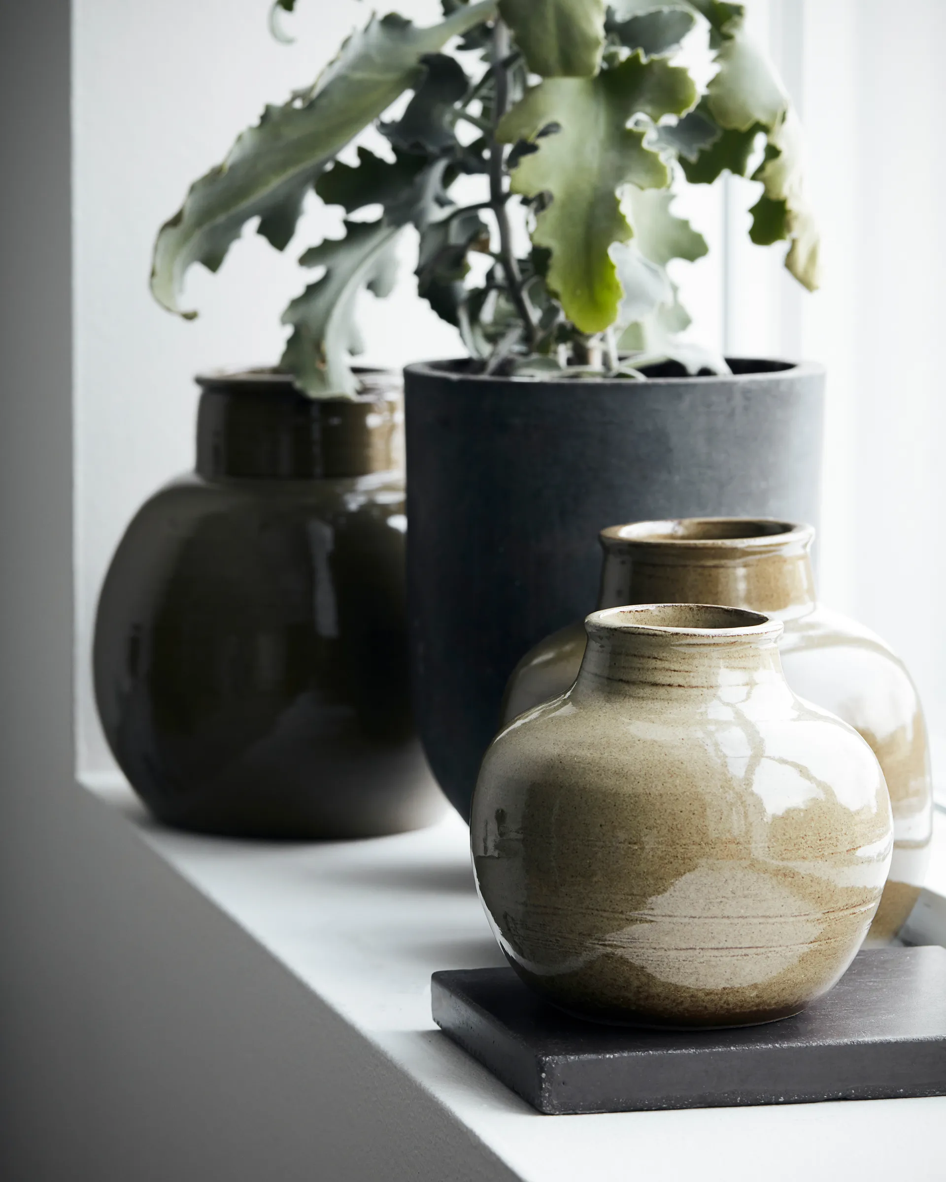 아주 화병 21 cm, Green House Doctor | 하우스닥터