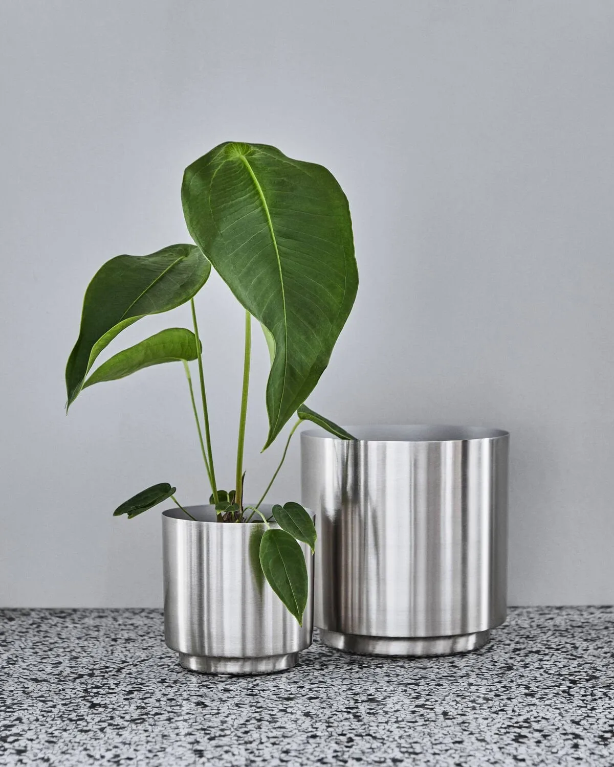 Bailey 화분 2개 세트, Silver finish House Doctor | 하우스닥터