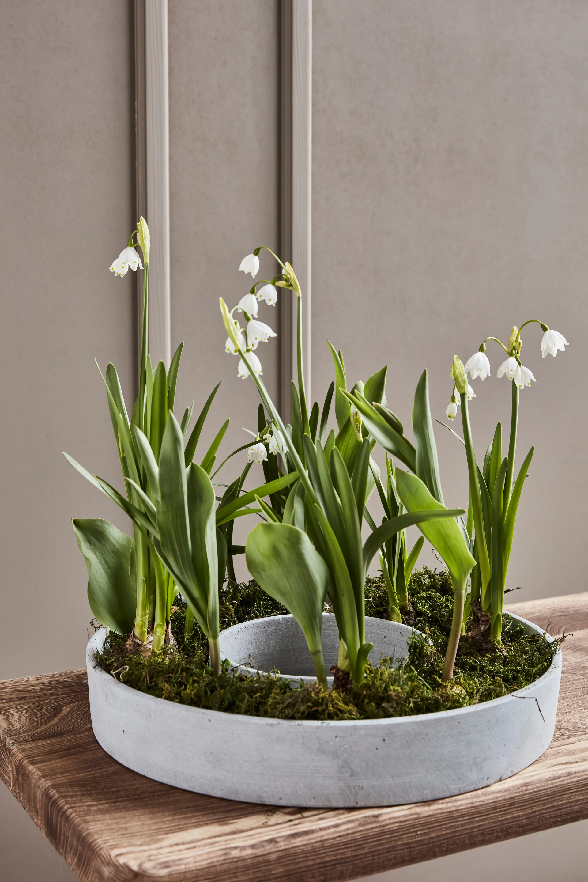 더 링 캔들 홀더(블록 양초용), Concrete House Doctor | 하우스닥터