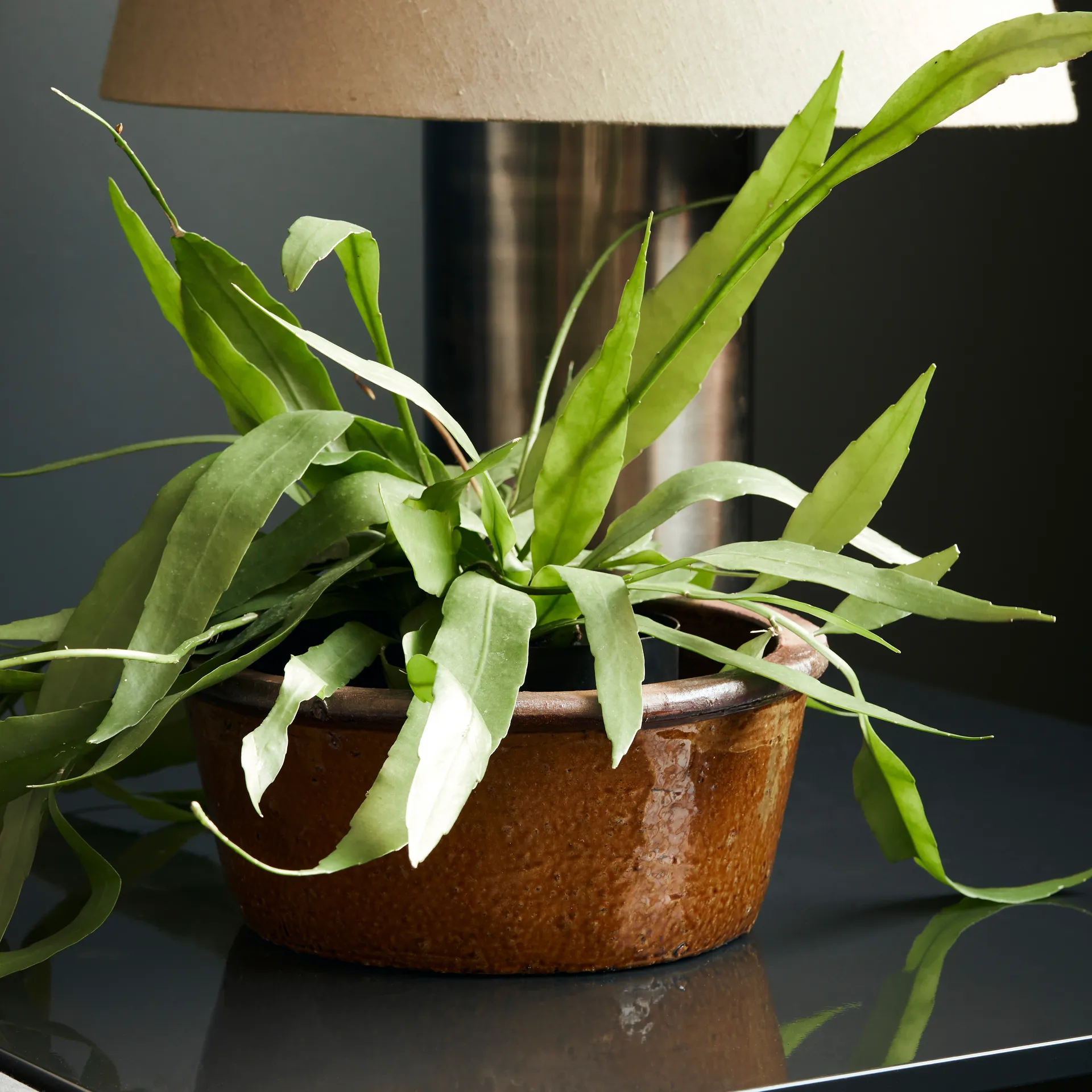 Whai 화분 Ø30 cm, mustard yellow House Doctor | 하우스닥터