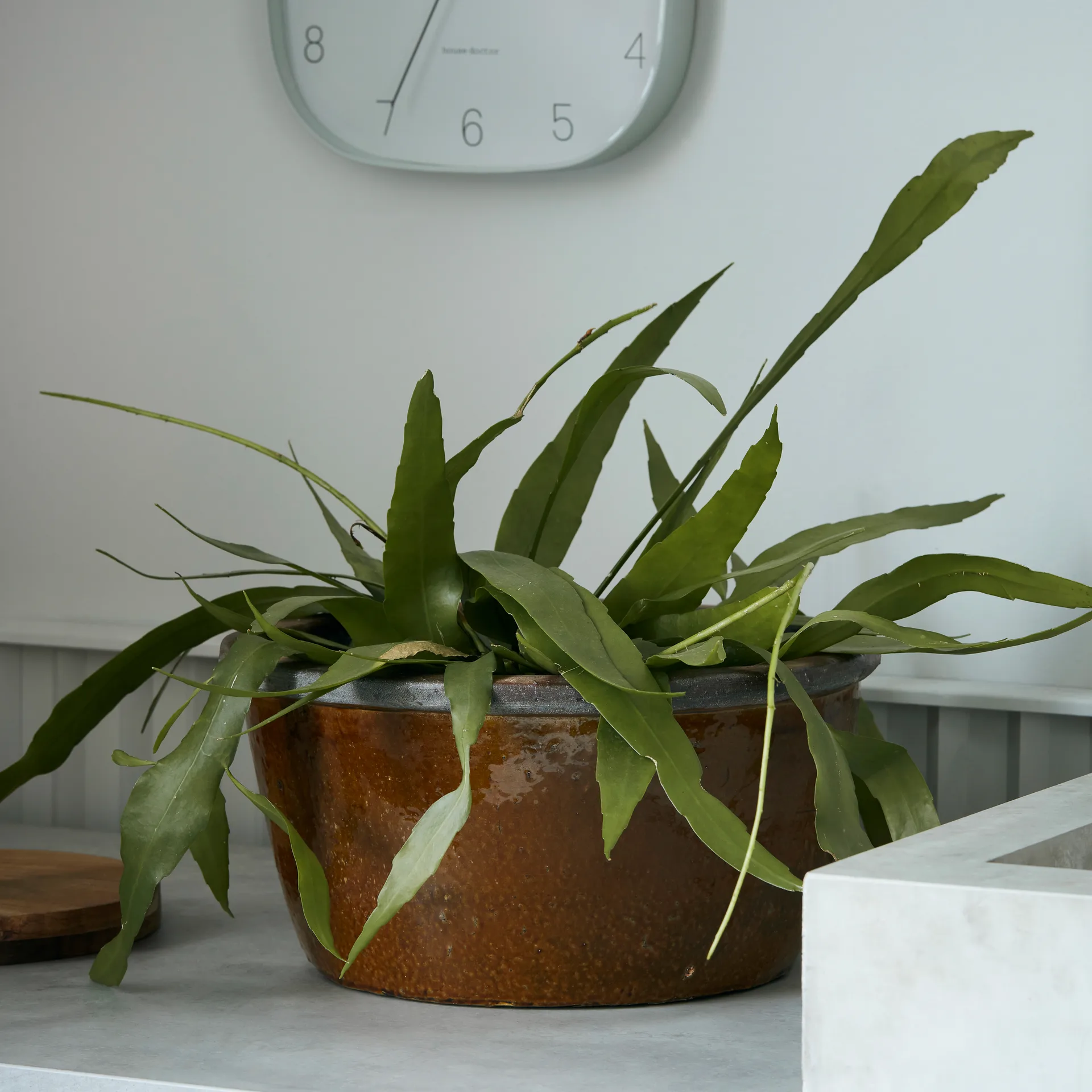 Whai 화분 Ø37 cm, mustard yellow House Doctor | 하우스닥터