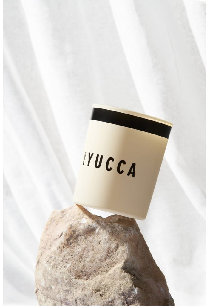 훔다킨 향초, Yucca Humdakin | 훔다킨