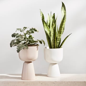 나뿔라 화분 155x230 mm - white - Iittala | 이딸라