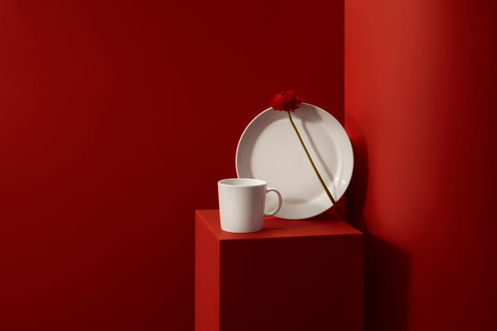 떼에마 스타터 세트, 16 pcs Iittala | 이딸라