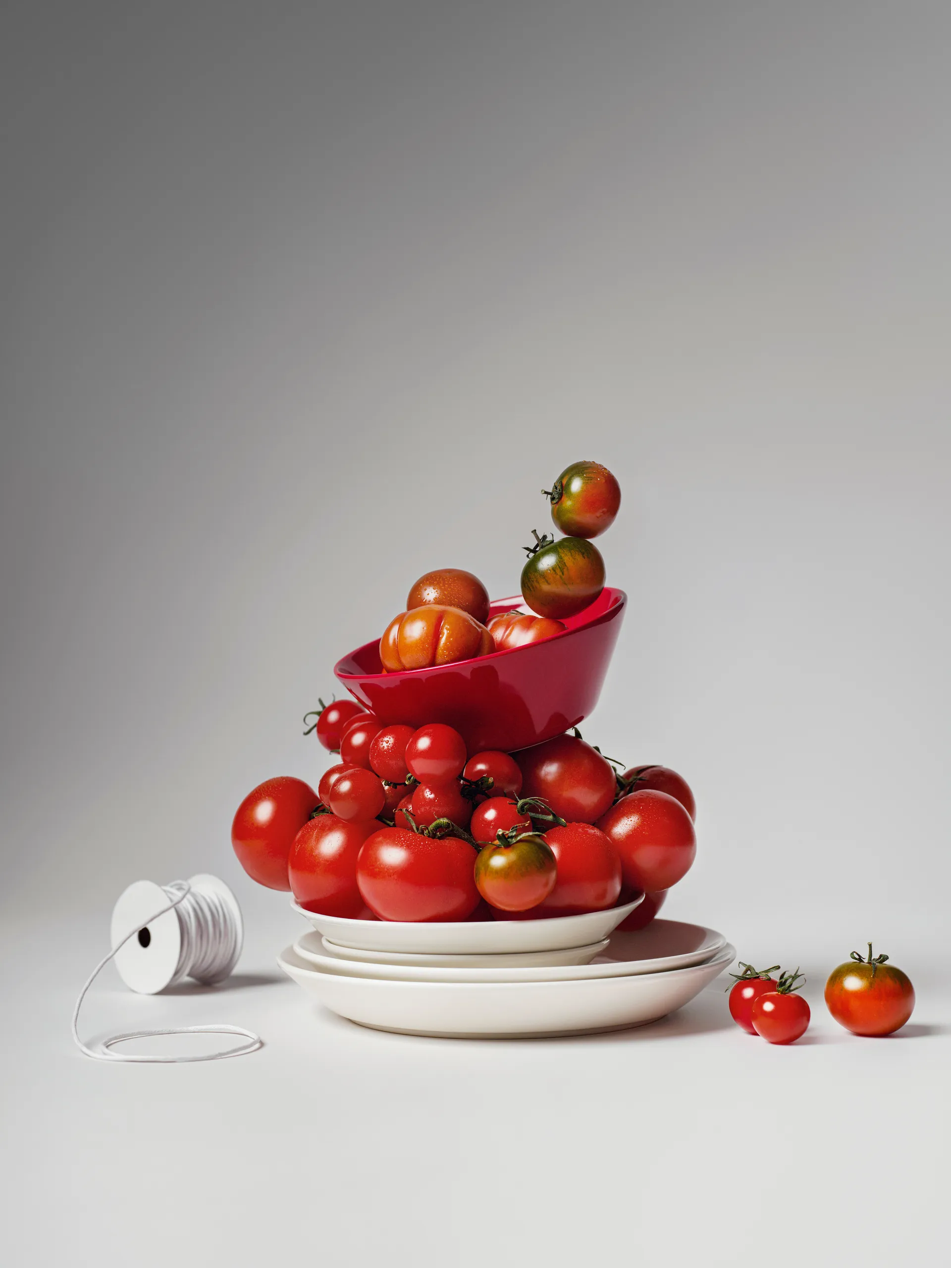 떼에마 스타터 세트, 16 pieces Iittala | 이딸라