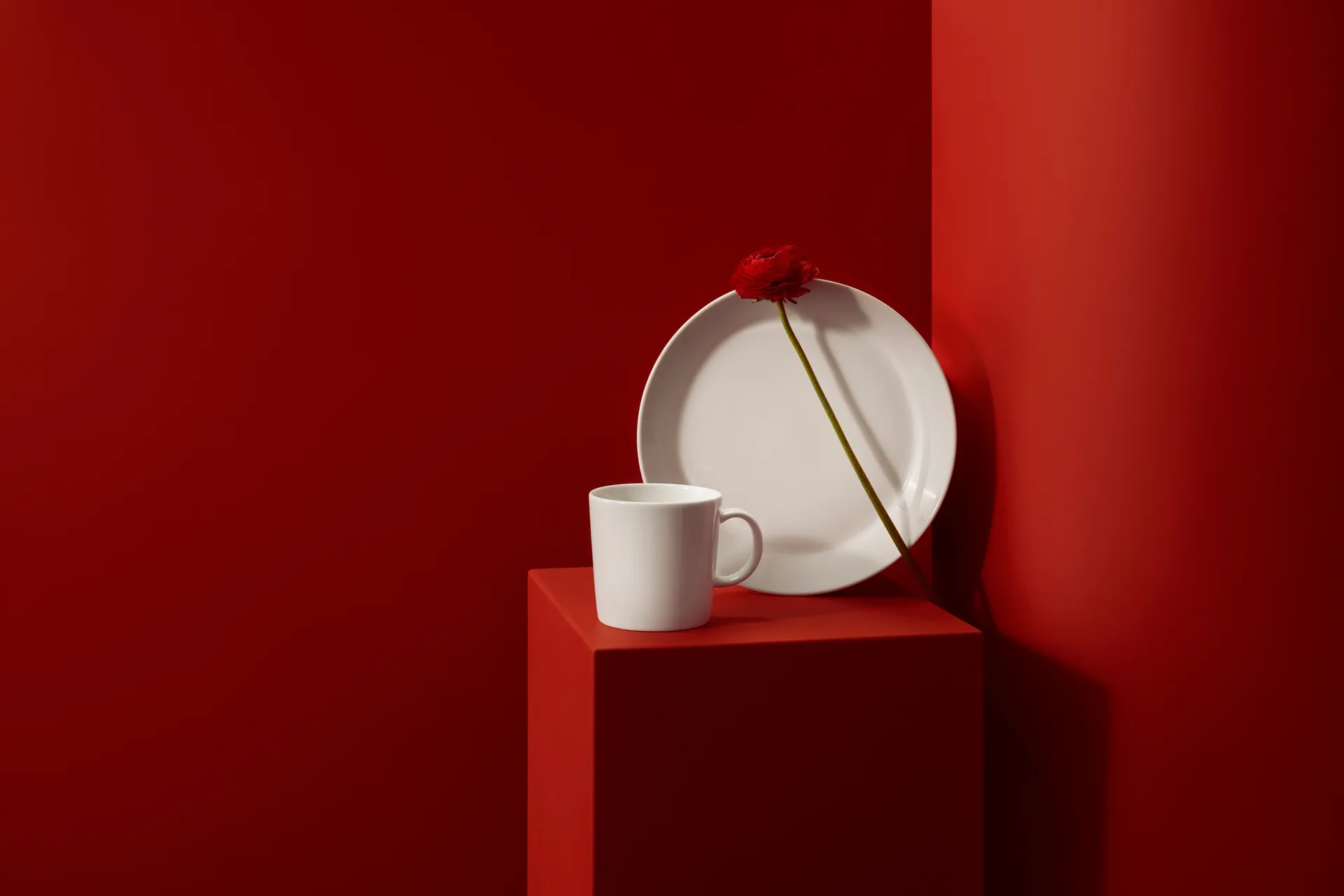 떼에마 스타터 세트, 16 pieces Iittala | 이딸라