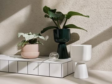 나뿔라 화분과 받침 세트 Ø17 cm h13 cm - Beige - Iittala | 이딸라