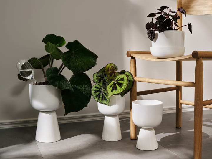 나뿔라 화분과 받침 세트 Ø17 cm h13 cm, White Iittala | 이딸라