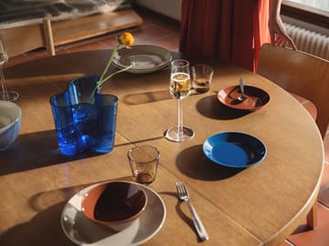 떼에마 사이드 접시 Ø17 cm - Vintage brown - Iittala | 이딸라
