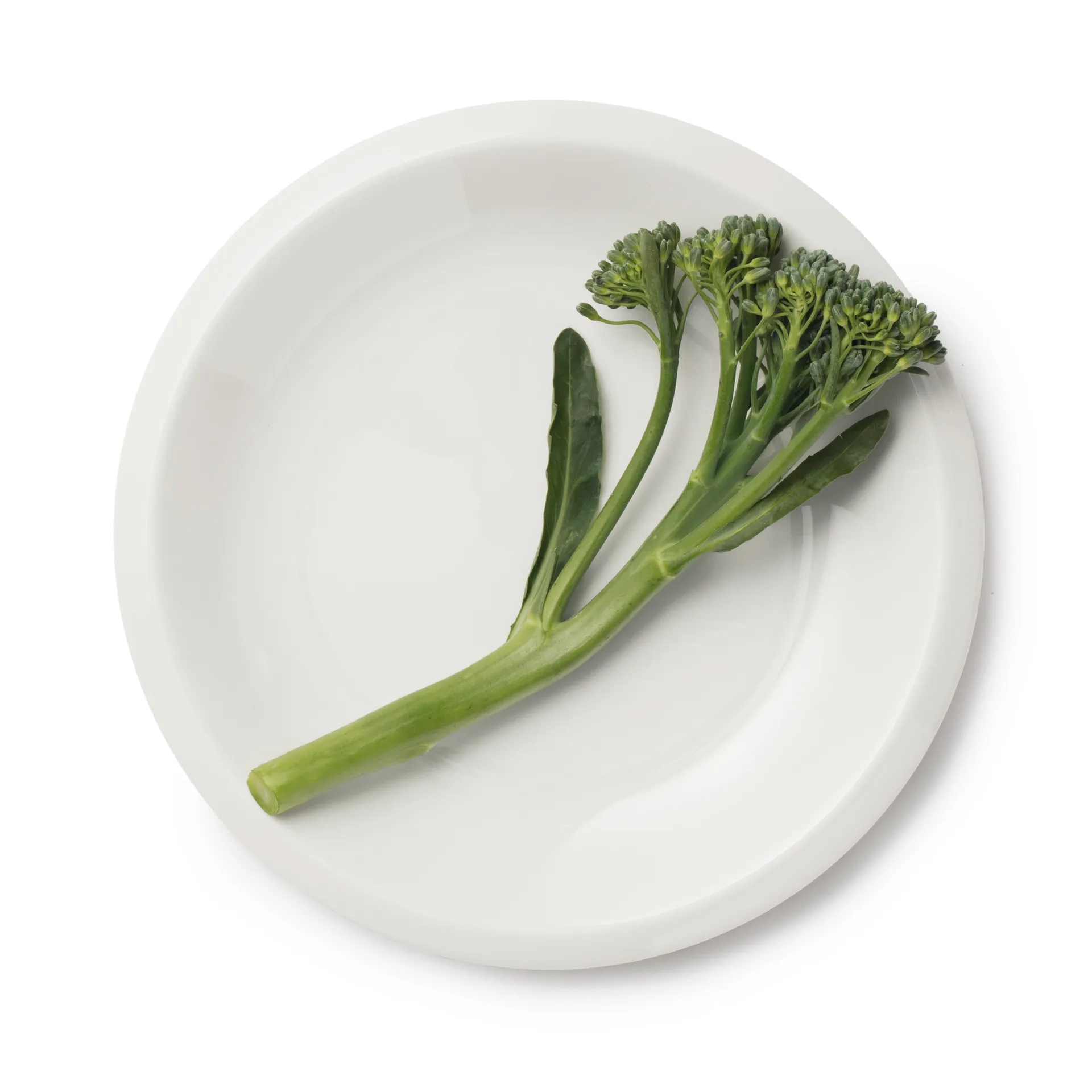 라미 스몰 접시 17 cm, white Iittala | 이딸라