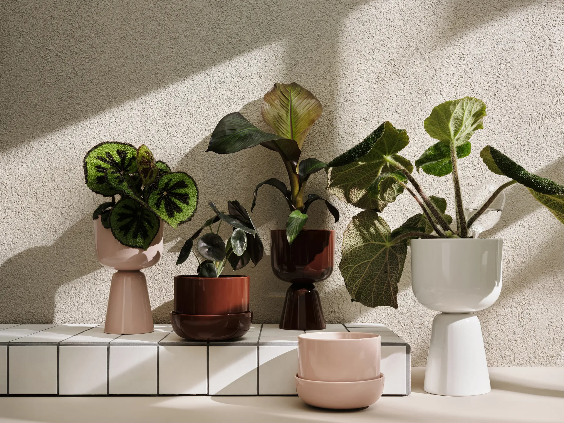 나뿔라 화분 190x320 mm, White Iittala | 이딸라