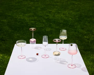 에센스 칵테일잔 2개 세트 - Rose, 31 cl - Iittala | 이딸라