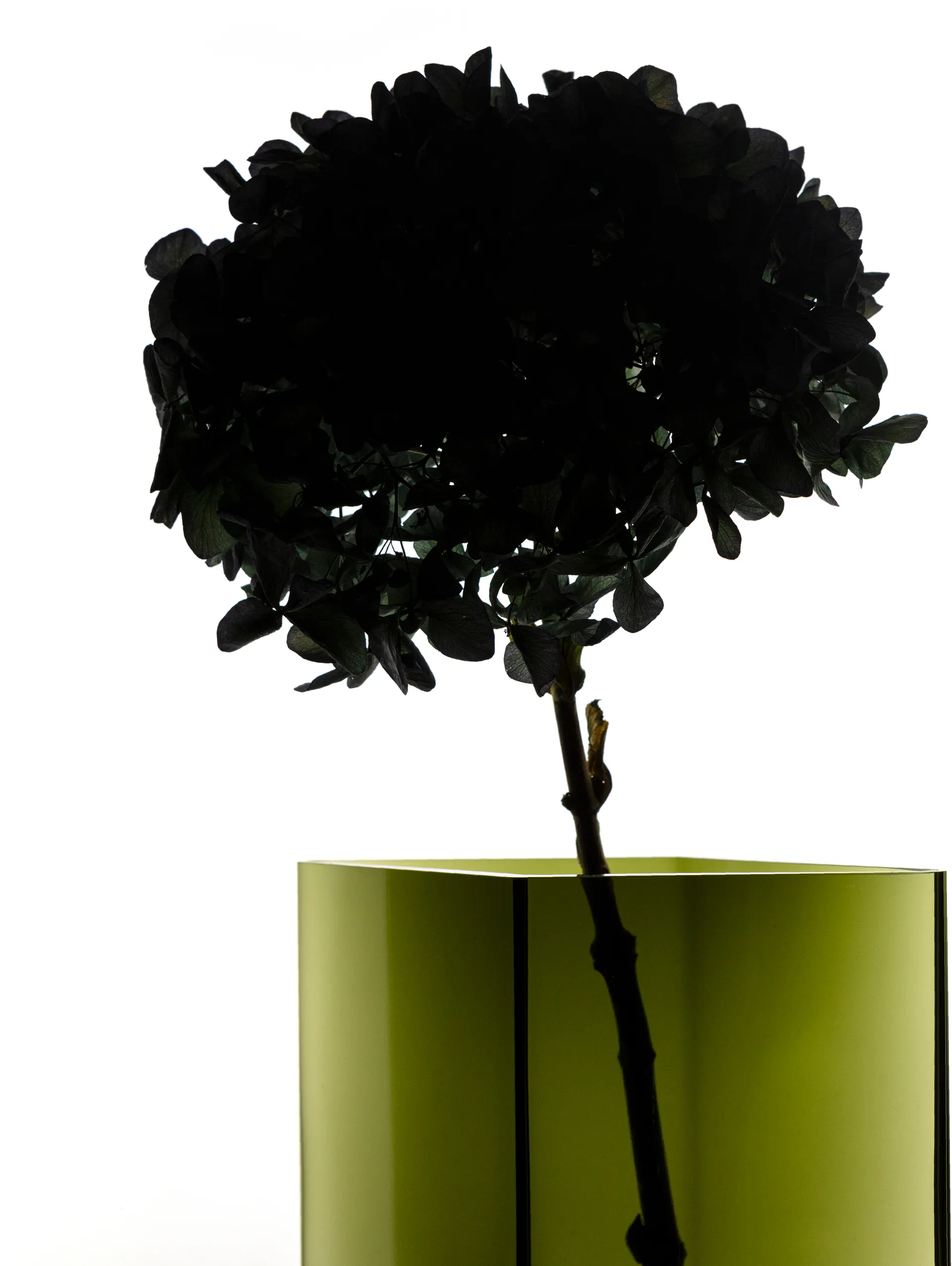 루뚜 화병 20.5x18 cm, moss green Iittala | 이딸라