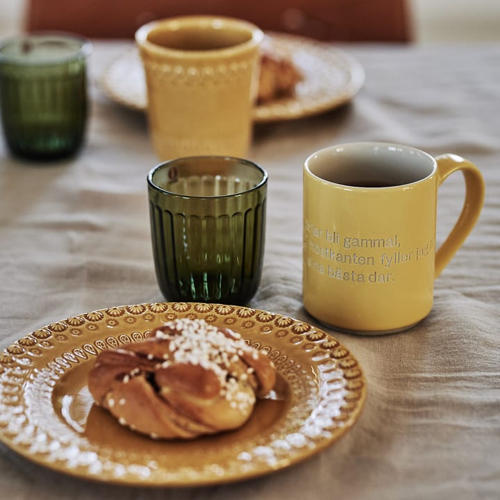 라미 드링크 글라스 26 cl 2개 세트, moss green Iittala | 이딸라