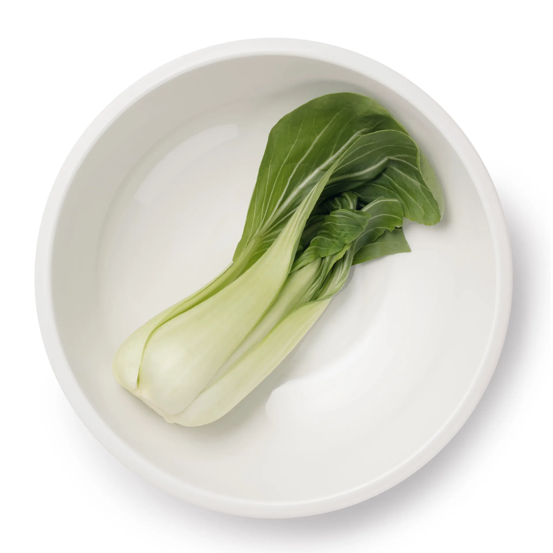 라미 라운드 서빙 보울 29 cm, white Iittala | 이딸라