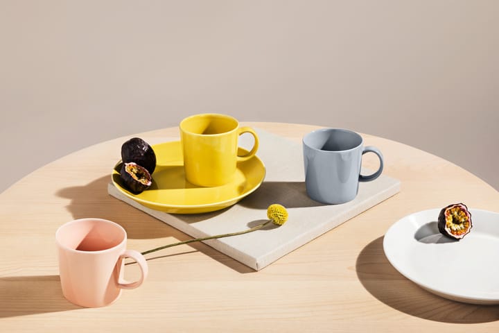 떼에마 머그 30 cl, pearl grey Iittala | 이딸라