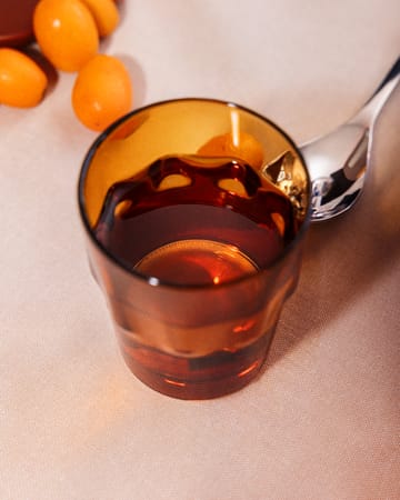 솔라레 음료수 잔 31 cl 2개 세트 - Copper - Iittala | 이딸라