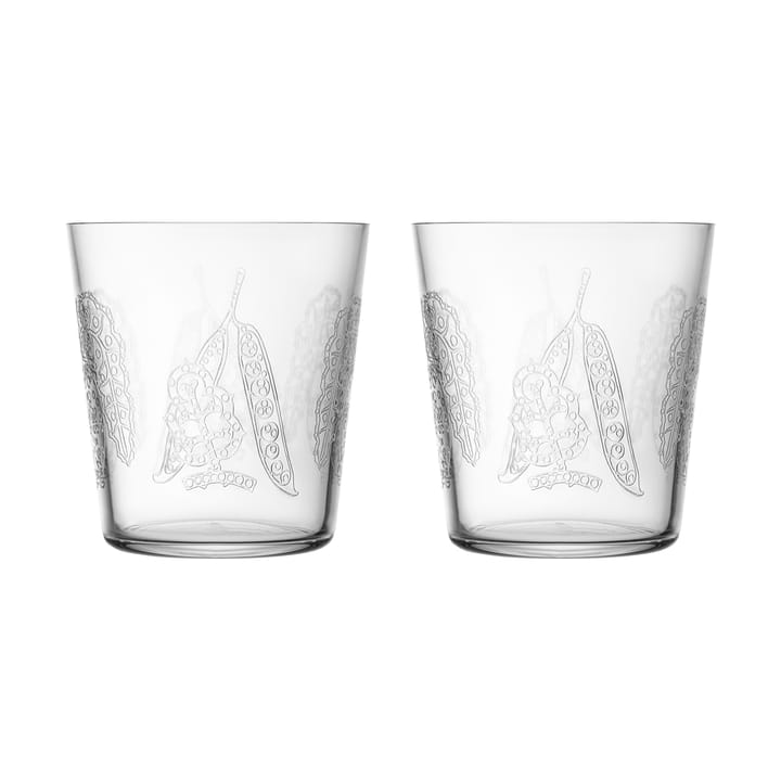 따이가 사토 드링킹 글래스 38 cl 2개 세트 - Clear - Iittala | 이딸라