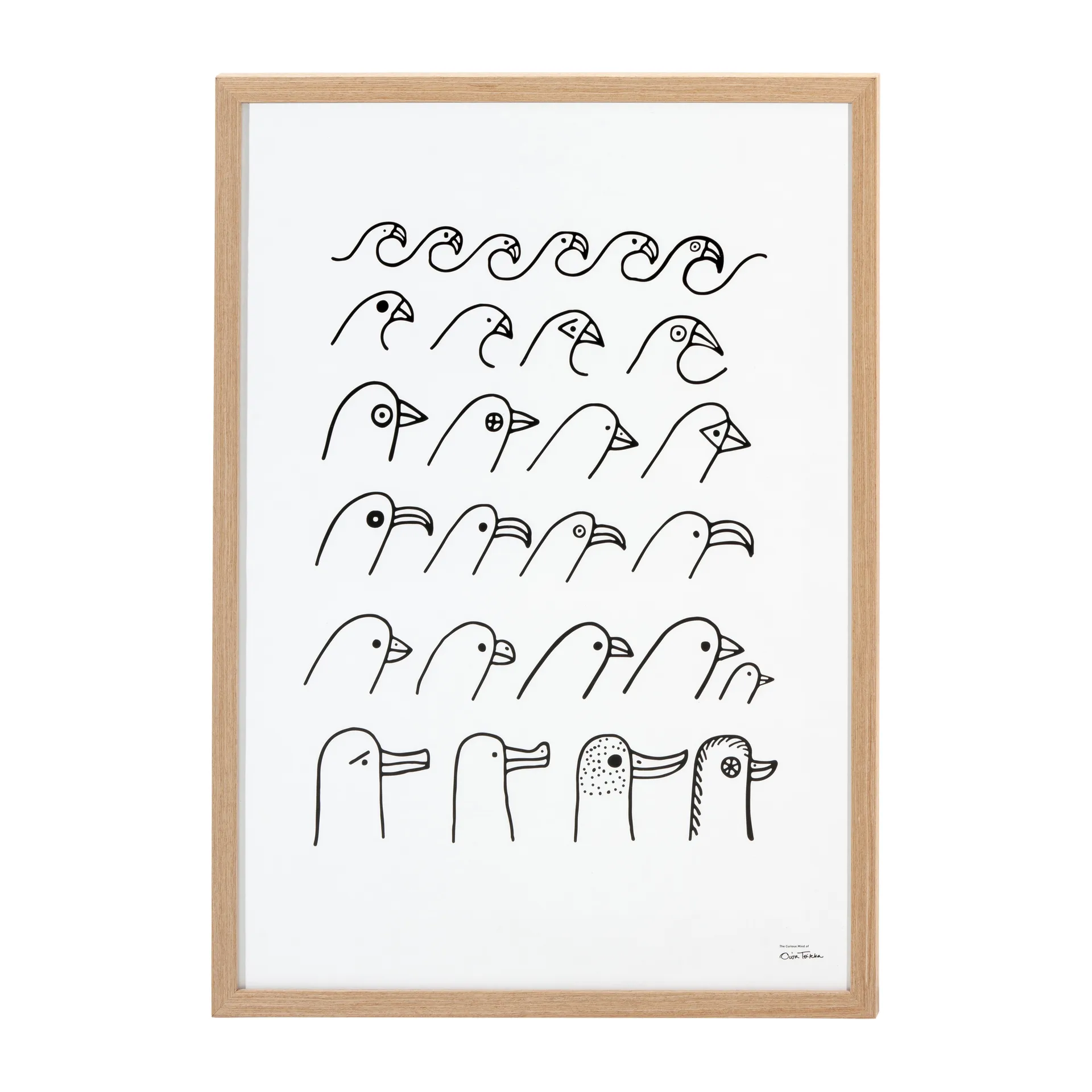 오이바 토이까 버드 하우스 포스터, 50x70 cm Iittala | 이딸라