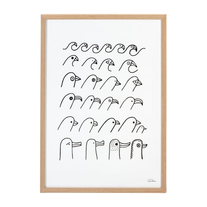 오이바 토이까 버드 하우스 포스터, 50x70 cm Iittala | 이딸라