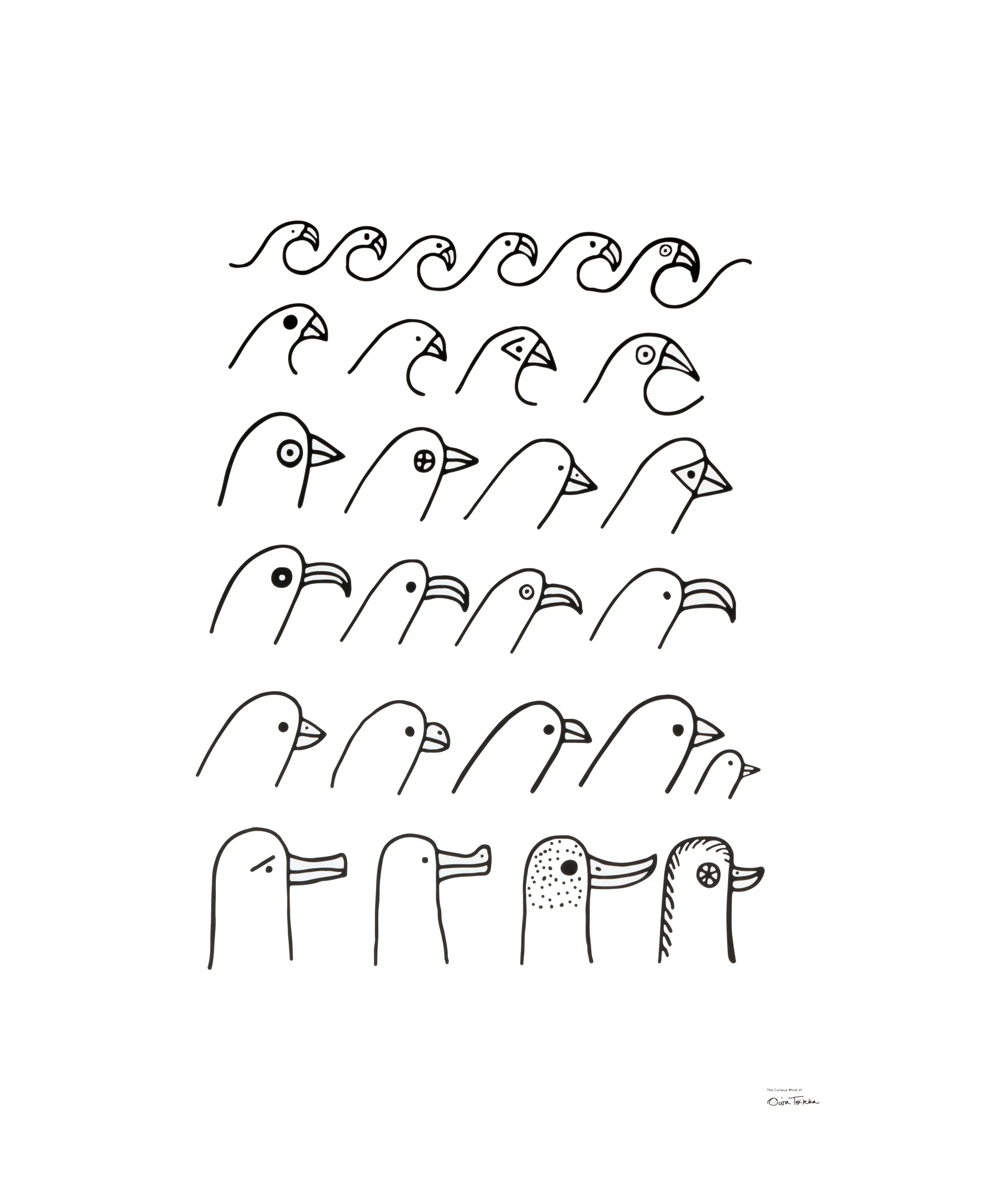 오이바 토이까 버드 하우스 포스터, 50x70 cm Iittala | 이딸라