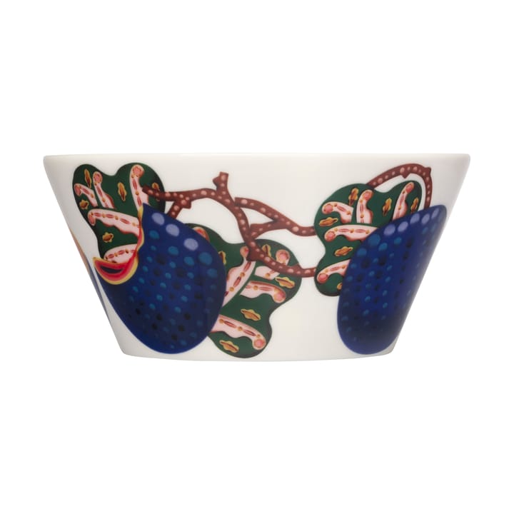 따이가 사토 보울 60 cl, White-multi coloured Iittala | 이딸라