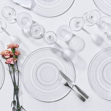 치테리오 98 디너 나이프 - matte stainless steel - Iittala | 이딸��라