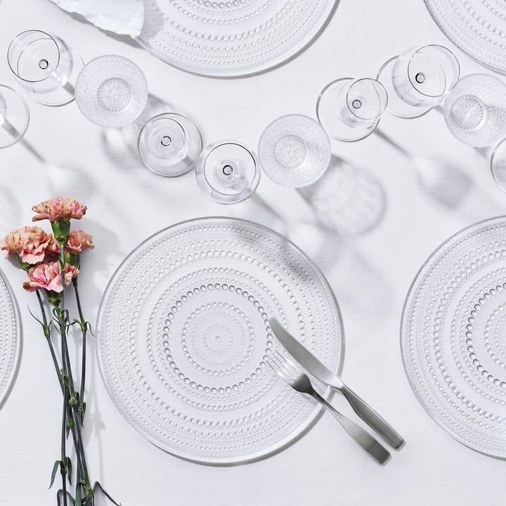 치테리오 98 디너 나이프 - matte stainless steel - Iittala | 이딸라