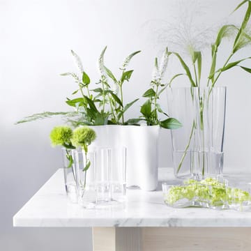 알바 알토 듀오 화병 - clear - Iittala | 이딸라