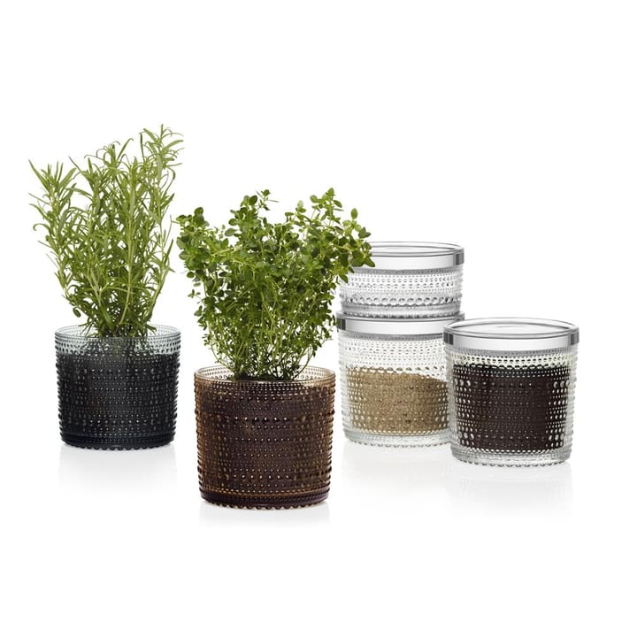 가스테헬미 병 라지, clear Iittala | 이딸라