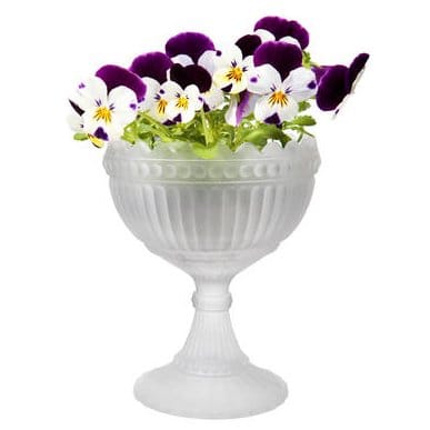 마리보울 라지, frosted Iittala | 이딸라