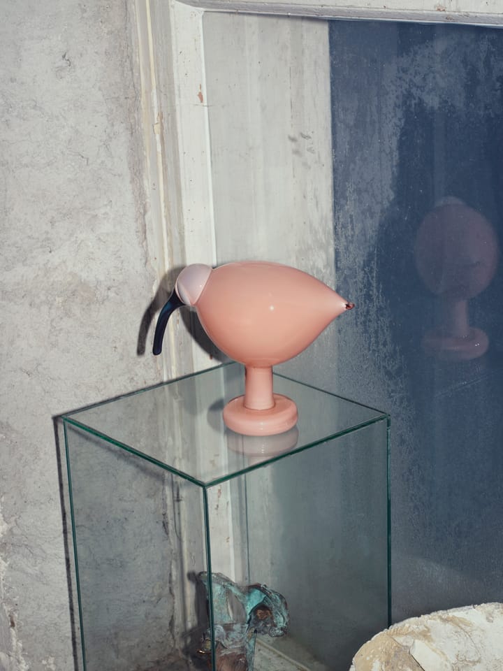 버드 바이 토이까, Ibis salmon pink Iittala | 이딸라