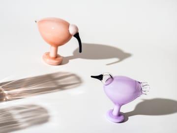 버드 바이 토이까 - Ibis salmon pink - Iittala | 이딸라