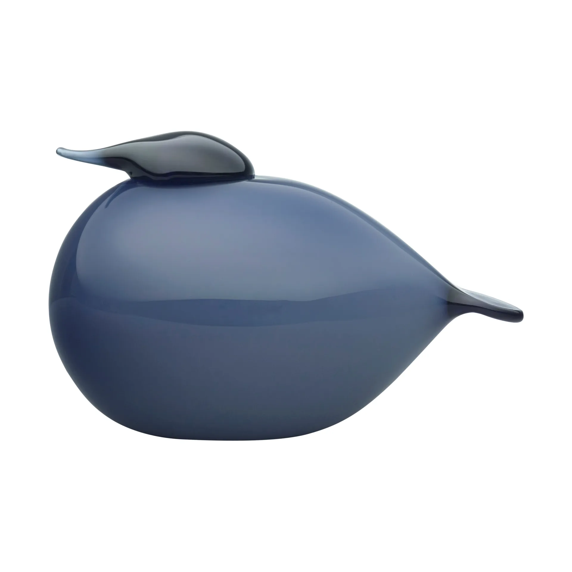 버드 바이 토이까, kuulas rain Iittala | 이딸라