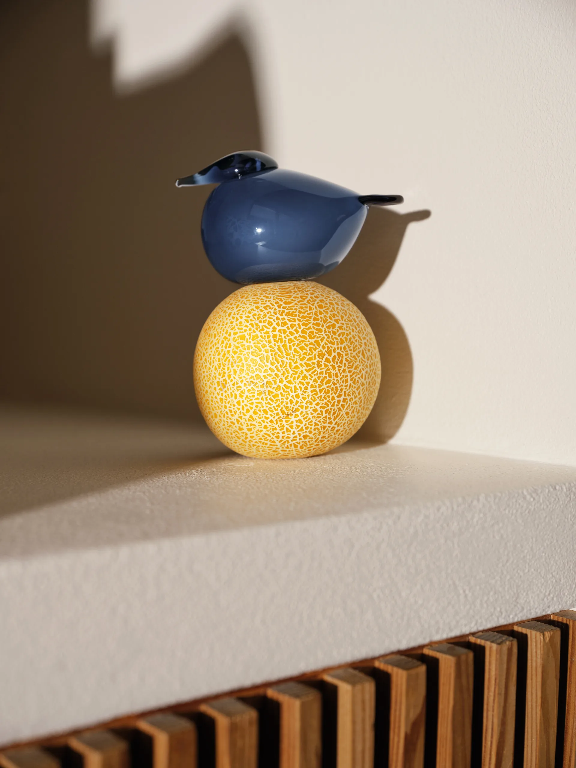 버드 바이 토이까, kuulas rain Iittala | 이딸라