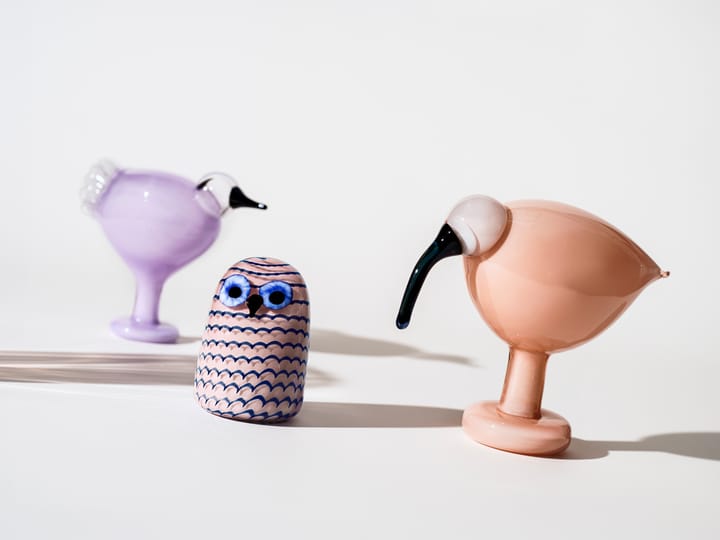 버드 바이 �토이까 leppainen, Light purple Iittala | 이딸라