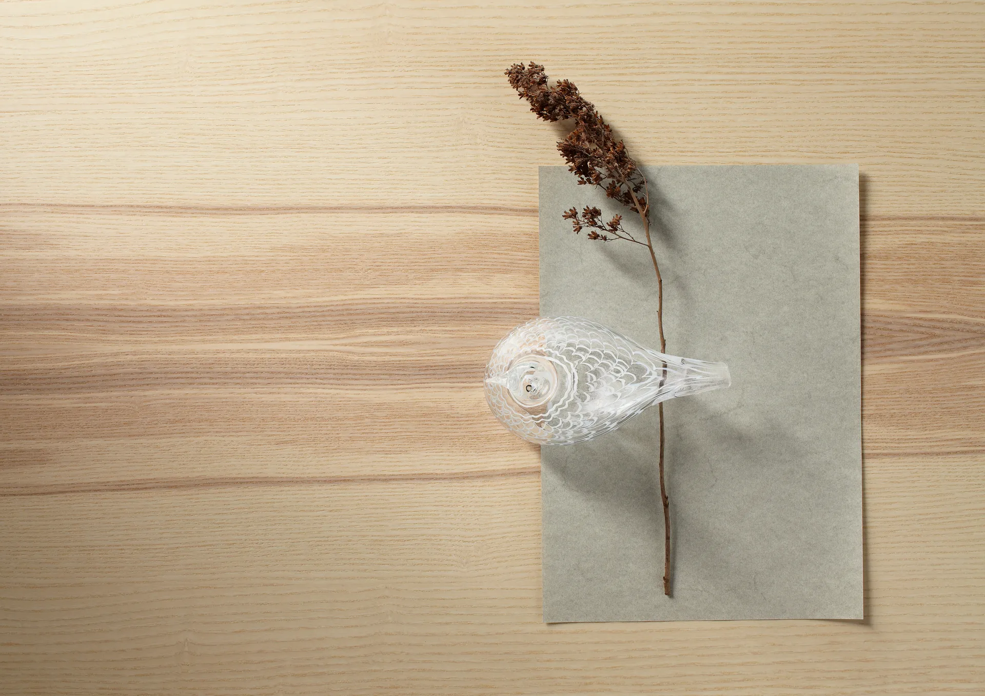 버드 바이 토이까, Peace dove Iittala | 이딸라