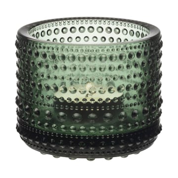가스테헬미 캔들홀더 - Pine green - Iittala | 이딸라