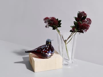 버드 바이 토이까 - ruby bird - Iittala | 이딸라