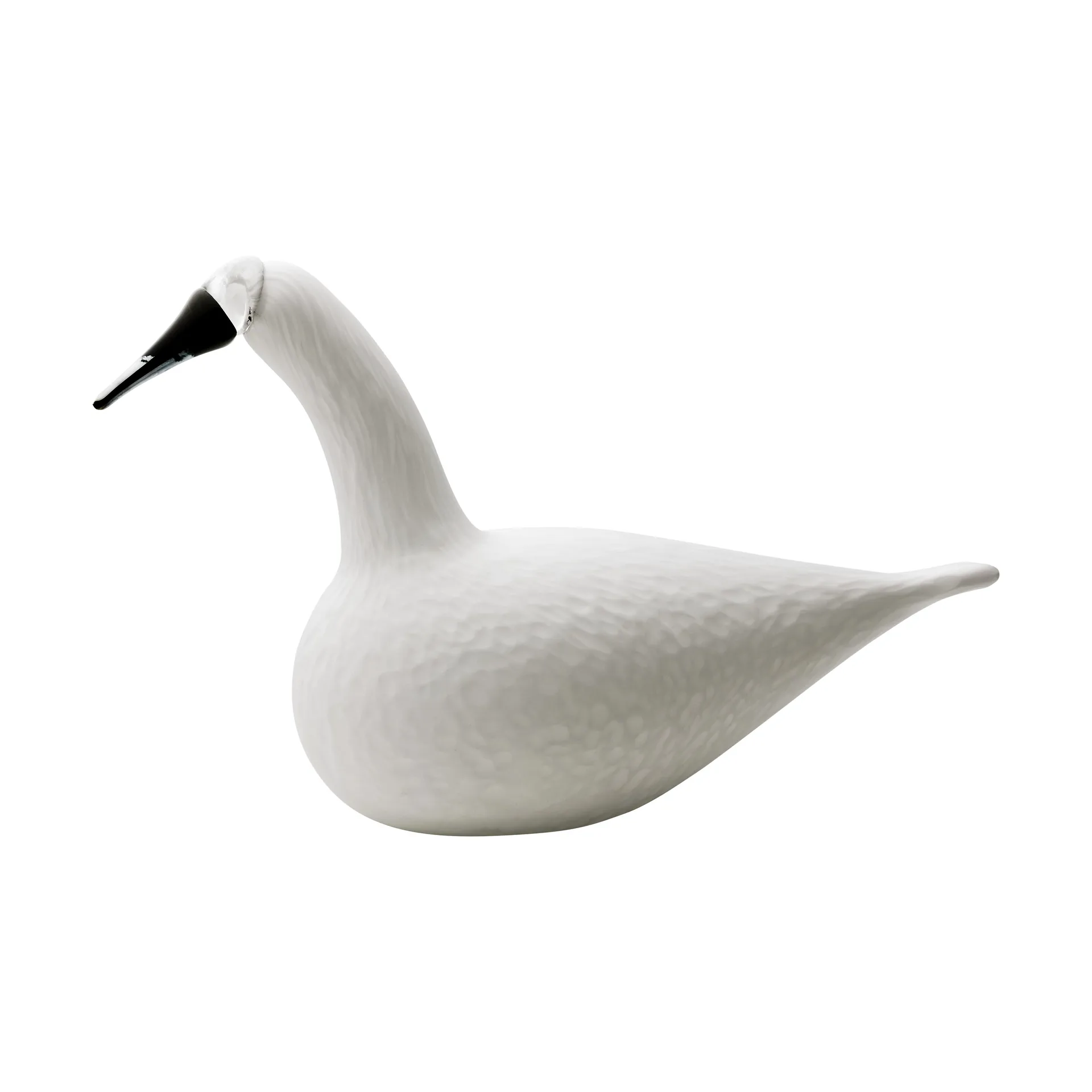 버드 바이 토이까, whooper swan Iittala | 이딸라