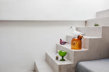 버드 바이 토이까 - whooper swan - Iittala | 이딸라