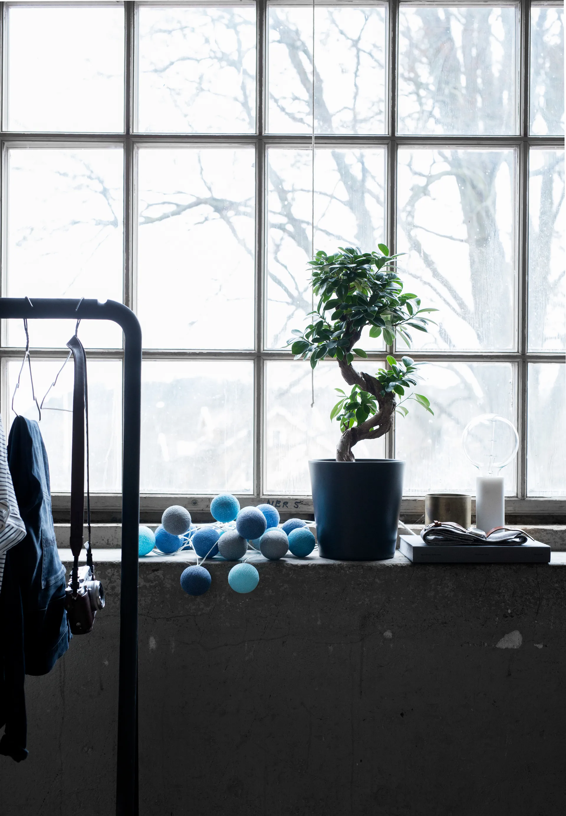 오션 블루 20-라이트 390 cm, Blue Irislights | 아이리스라이트